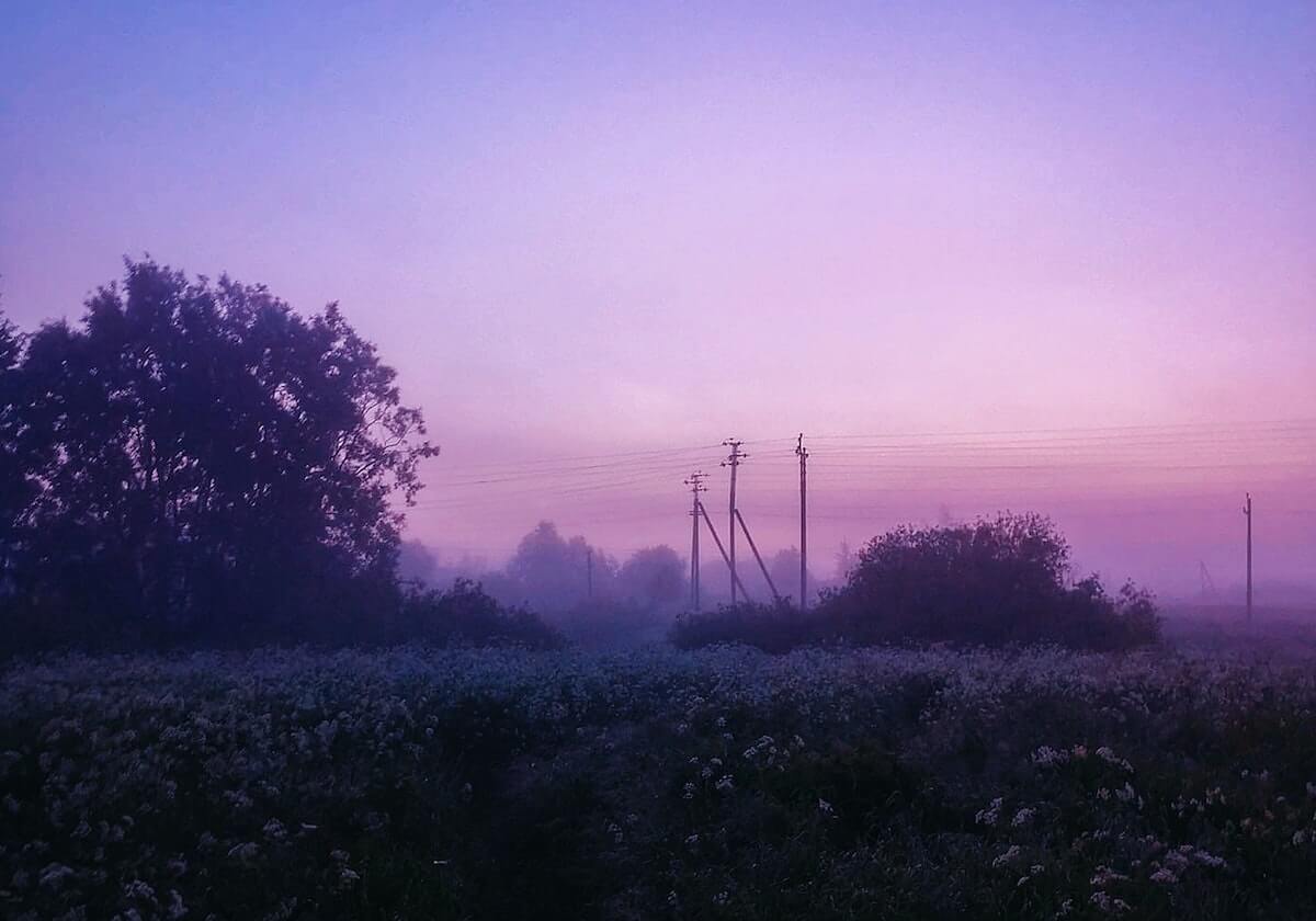 开云官网-【夜读】小德夺冠梦竟然毁在她的身上
